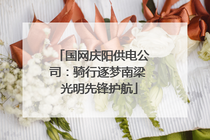 国网庆阳供电公司：骑行逐梦南梁 光明先锋护航