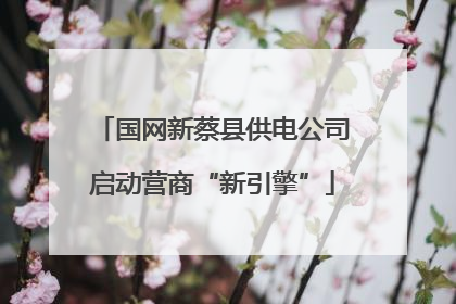 国网新蔡县供电公司启动营商“新引擎”