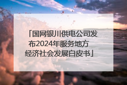 国网银川供电公司发布2024年服务地方经济社会发展白皮书