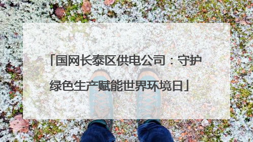 国网长泰区供电公司：守护绿色生产赋能世界环境日