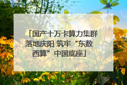 国产十万卡算力集群落地庆阳 筑牢“东数西算”中国底座