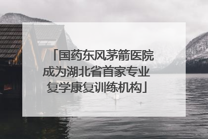 国药东风茅箭医院成为湖北省首家专业复学康复训练机构