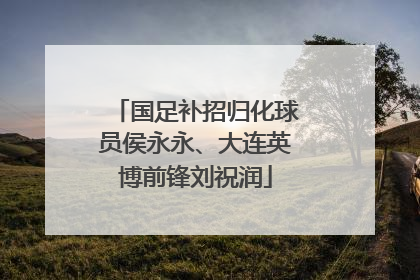 国足补招归化球员侯永永、大连英博前锋刘祝润