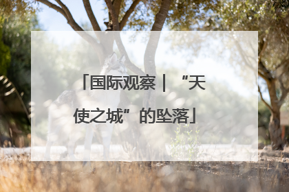 国际观察｜“天使之城”的坠落
