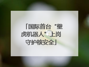 国际首台“壁虎机器人”上岗守护核安全
