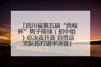 四川省第五届“贡嘎杯”男子排球（初中组）总决赛开赛 自贡这支队伍打进半决赛