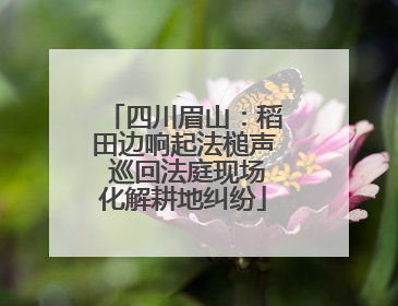 四川眉山：稻田边响起法槌声 巡回法庭现场化解耕地纠纷