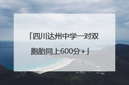四川达州中学一对双胞胎同上600分+