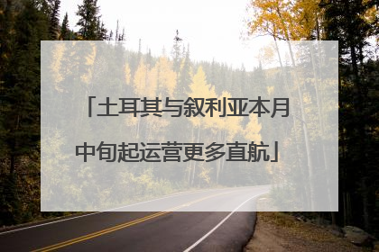 土耳其与叙利亚本月中旬起运营更多直航