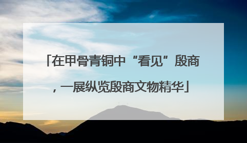 在甲骨青铜中“看见”殷商，一展纵览殷商文物精华
