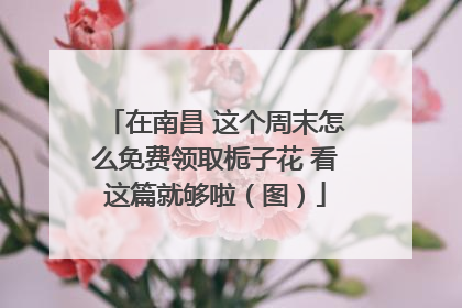 在南昌 这个周末怎么免费领取栀子花 看这篇就够啦（图）