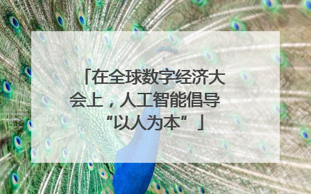 在全球数字经济大会上，人工智能倡导“以人为本”