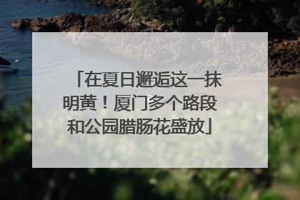 在夏日邂逅这一抹明黄！厦门多个路段和公园腊肠花盛放