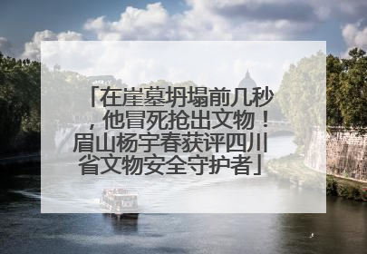 在崖墓坍塌前几秒，他冒死抢出文物！眉山杨宇春获评四川省文物安全守护者