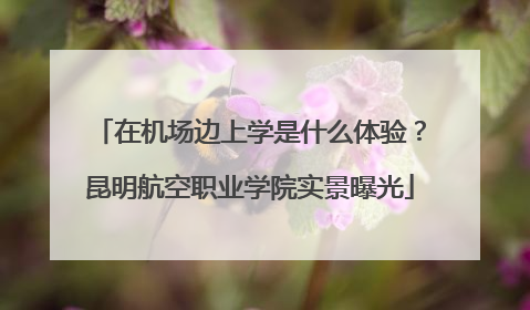 在机场边上学是什么体验？昆明航空职业学院实景曝光
