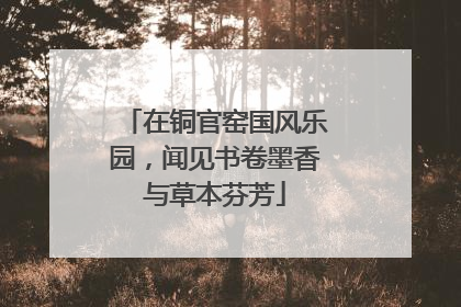 在铜官窑国风乐园，闻见书卷墨香与草本芬芳