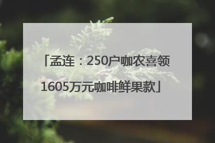 孟连：250户咖农喜领1605万元咖啡鲜果款