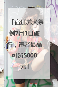 宿迁养犬条例7月1日施行，违者最高可罚5000元