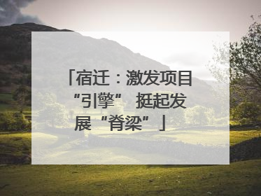 宿迁：激发项目“引擎” 挺起发展“脊梁”