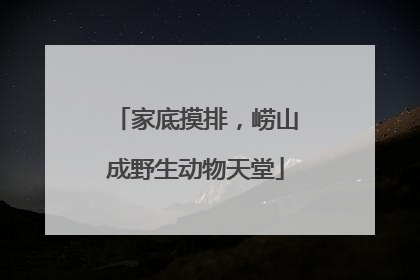 家底摸排，崂山成野生动物天堂