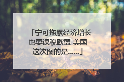 宁可拖累经济增长也要课税欧盟 美国这次图的是……