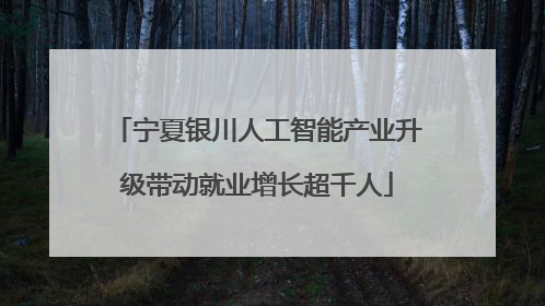 宁夏银川人工智能产业升级带动就业增长超千人