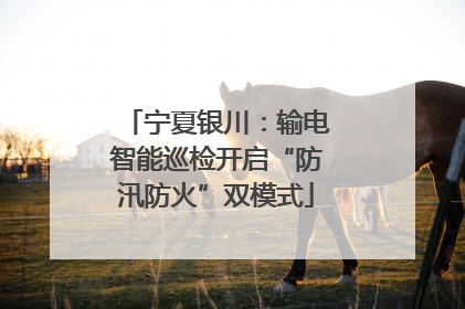 宁夏银川：输电智能巡检开启“防汛防火”双模式