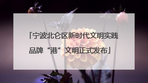 宁波北仑区新时代文明实践品牌“港”文明正式发布