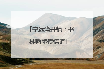 宁远湾井镇：书林翰墨传情谊