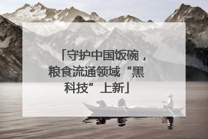 守护中国饭碗，粮食流通领域“黑科技”上新