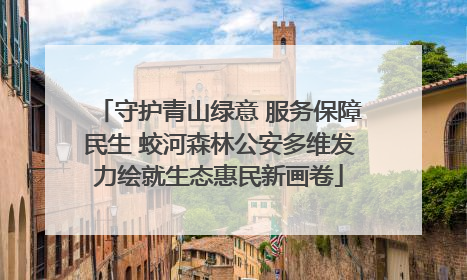 守护青山绿意 服务保障民生 蛟河森林公安多维发力绘就生态惠民新画卷