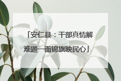 安仁县：干部真情解难题一面锦旗映民心