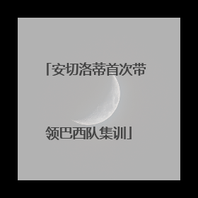 安切洛蒂首次带领巴西队集训