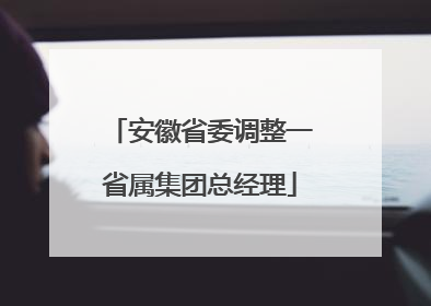 安徽省委调整一省属集团总经理