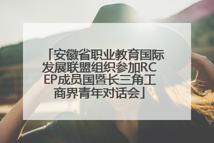 安徽省职业教育国际发展联盟组织参加RCEP成员国暨长三角工商界青年对话会