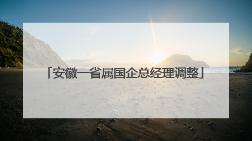 安徽一省属国企总经理调整