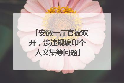 安徽一厅官被双开，涉违规编印个人文集等问题