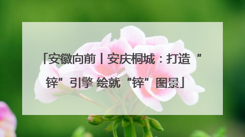 安徽向前丨安庆桐城：打造“锌”引擎 绘就“锌”图景