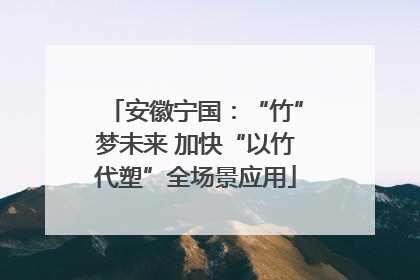 安徽宁国：“竹”梦未来 加快“以竹代塑”全场景应用