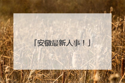 安徽最新人事！