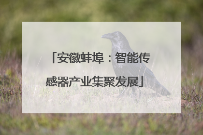 安徽蚌埠：智能传感器产业集聚发展