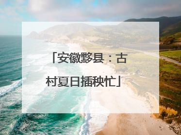 安徽黟县：古村夏日插秧忙