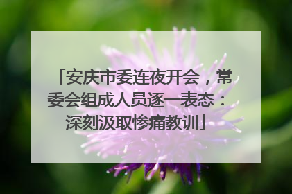 安庆市委连夜开会，常委会组成人员逐一表态：深刻汲取惨痛教训
