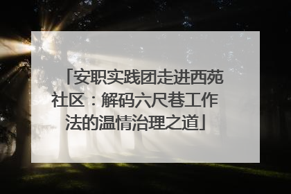 安职实践团走进西苑社区：解码六尺巷工作法的温情治理之道