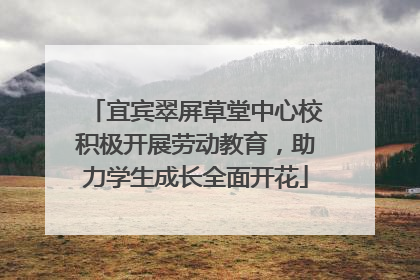 宜宾翠屏草堂中心校积极开展劳动教育，助力学生成长全面开花