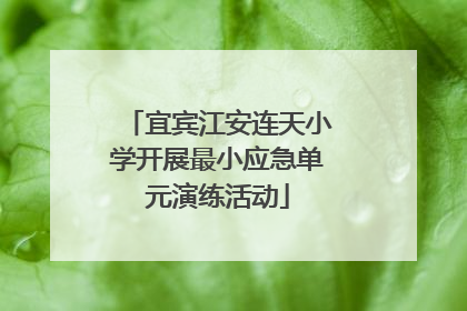 宜宾江安连天小学开展最小应急单元演练活动