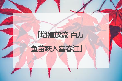 增殖放流 百万鱼苗跃入富春江