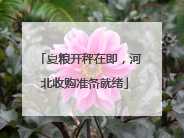 夏粮开秤在即，河北收购准备就绪