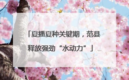 夏播夏种关键期，范县释放强劲“水动力”