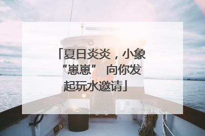 夏日炎炎，小象“崽崽” 向你发起玩水邀请
